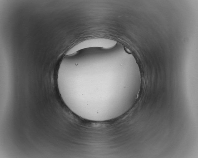 X0000111350520200907310954