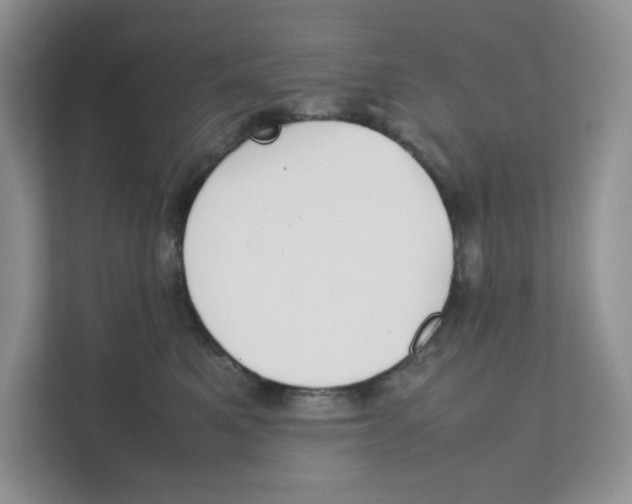 X0000111350521200907310954