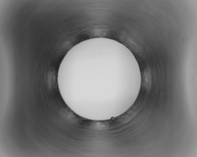 X0000111350522200907310954