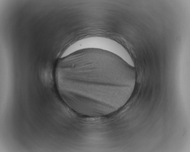 X0000111350524200907310954