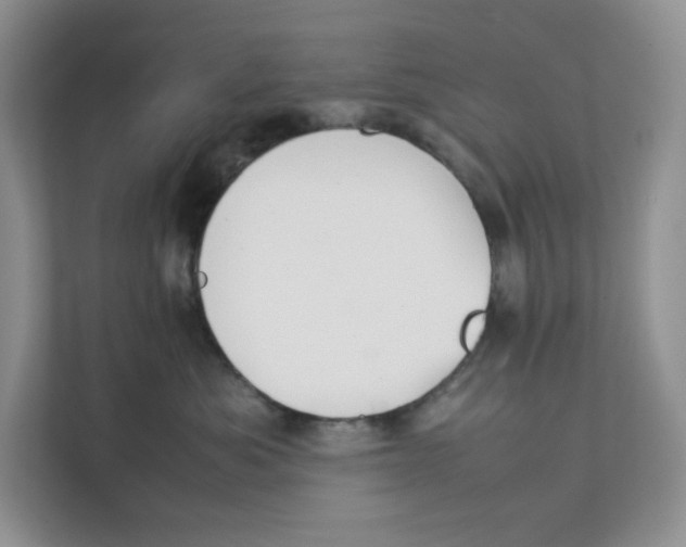 X0000111350525200907310954