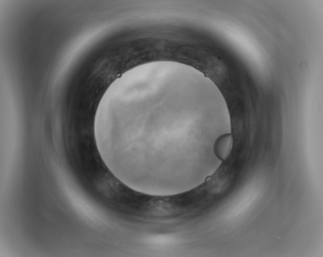 X0000111350526200907310954