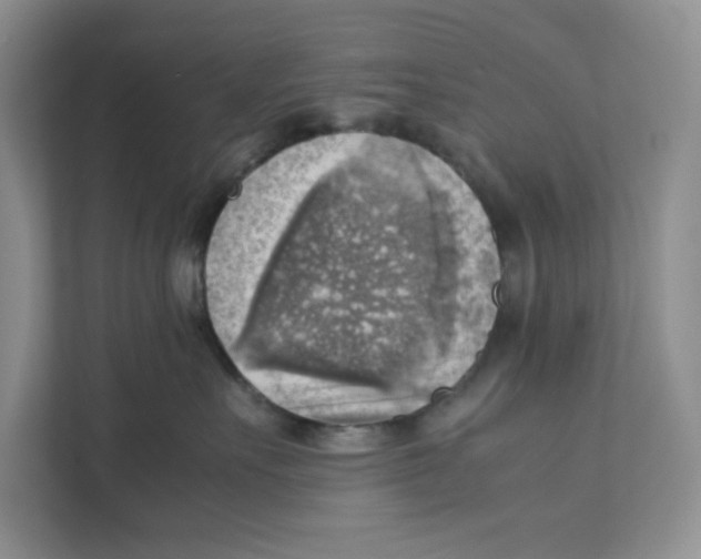 X0000111350527200907310954