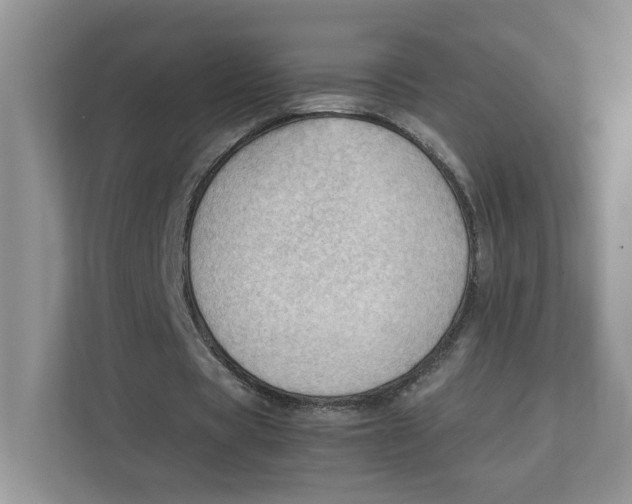 X0000111350529200907310954