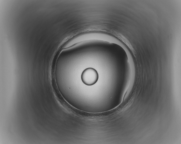 X0000111350530200907310954