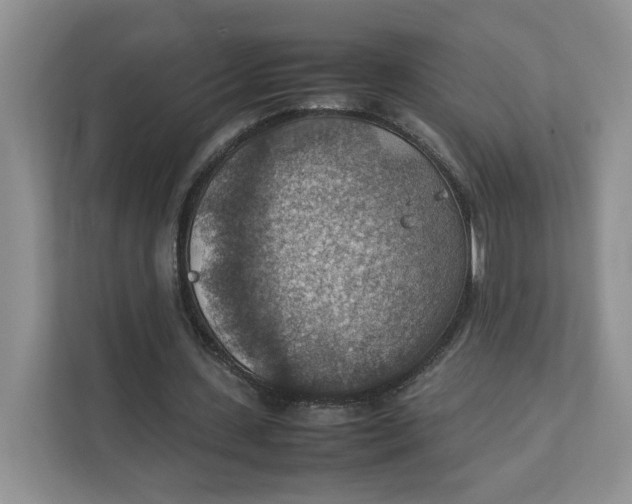 X0000111350531200907310954