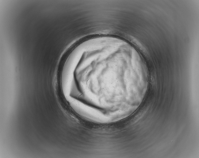 X0000111350532200907310954