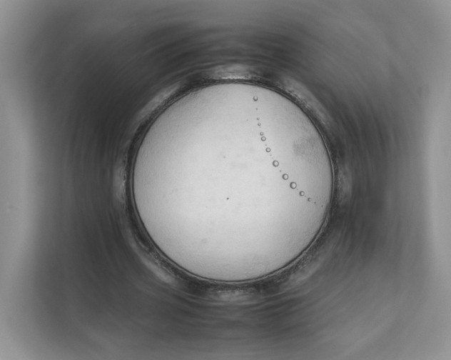 X0000111350533200907310954