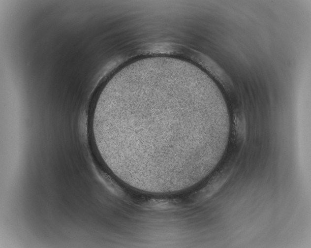 X0000111350534200907310954