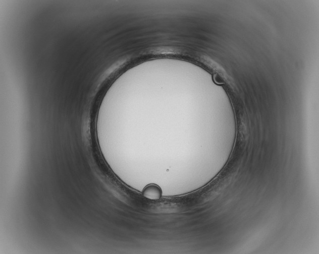 X0000111350535200907310954