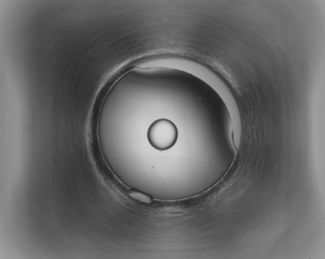 X0000111350536200907310954