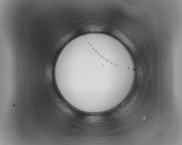 X0000111350537200907310954