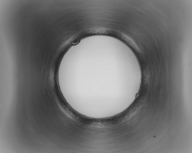 X0000111350538200907310954