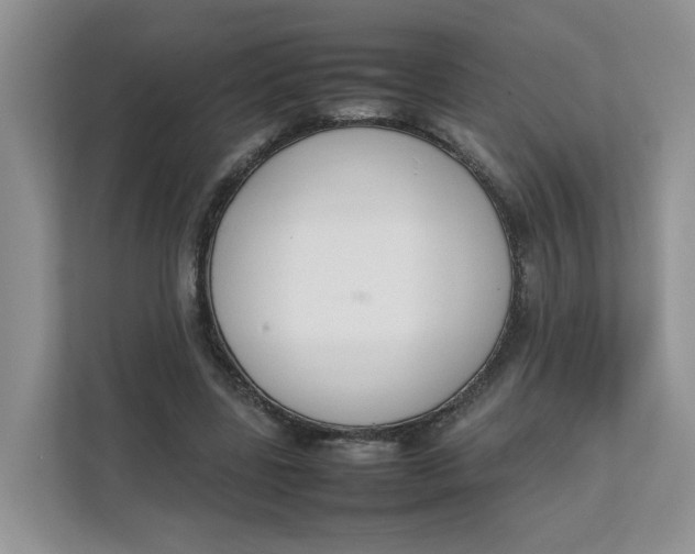 X0000111350539200907310954