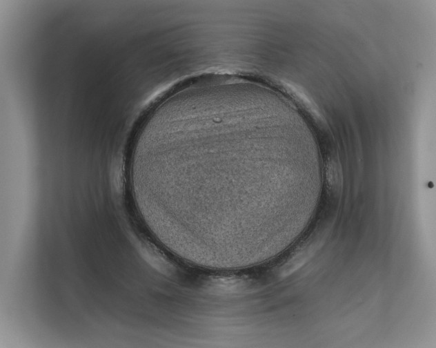 X0000111350540200907310954