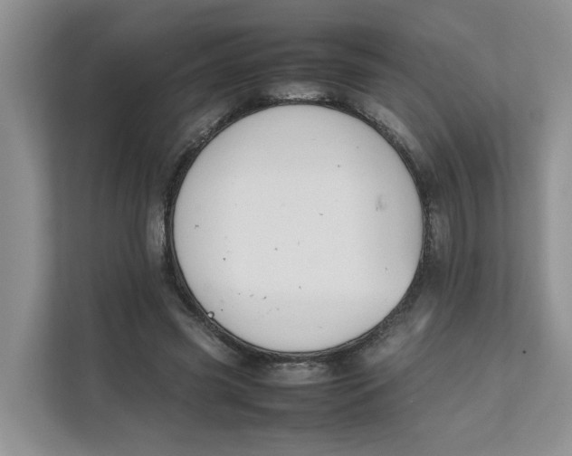 X0000111350541200907310954