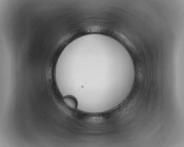 X0000111350543200907310954