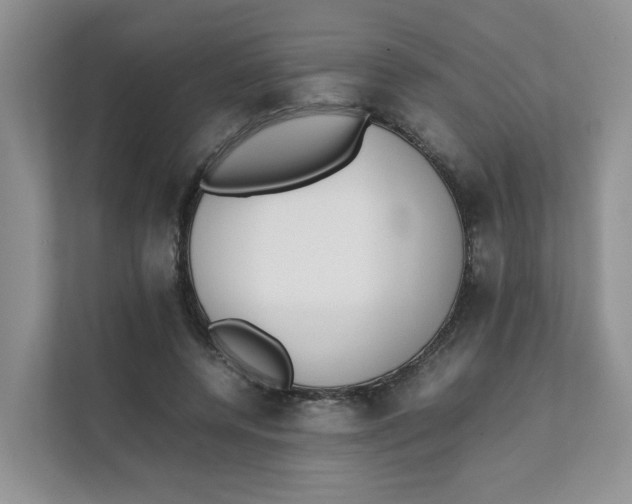 X0000111350544200907310954