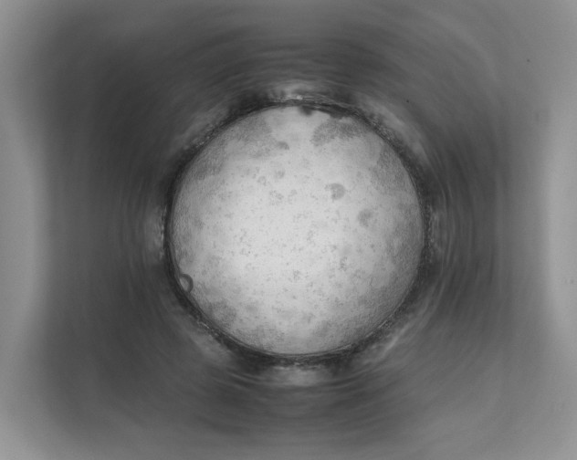 X0000111350545200907310954