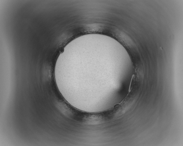 X0000111350546200907310954