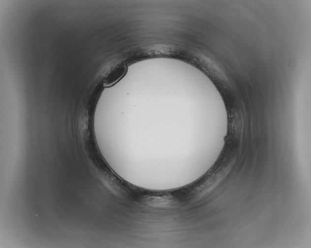 X0000111350548200907310954