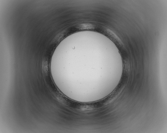 X0000111350549200907310954