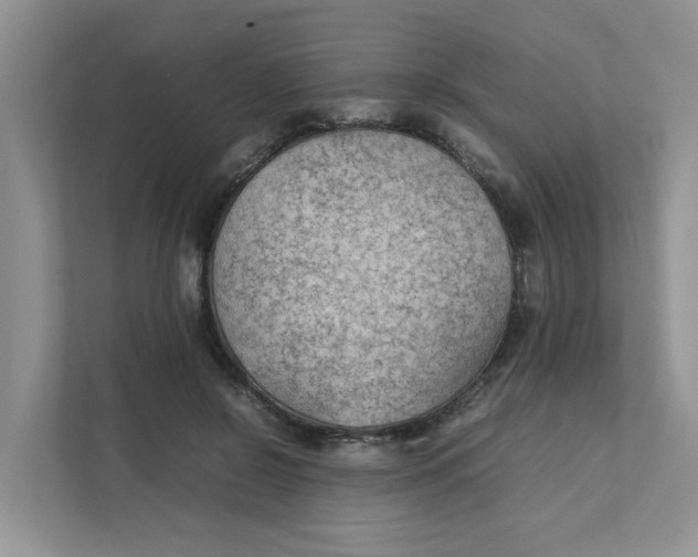 X0000111350550200907310954