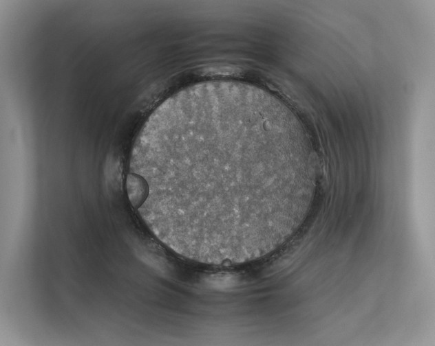 X0000111350551200907310954