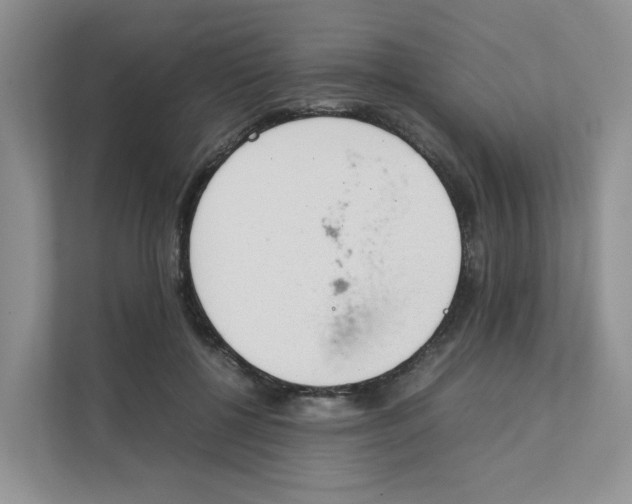 X0000111350552200907310954