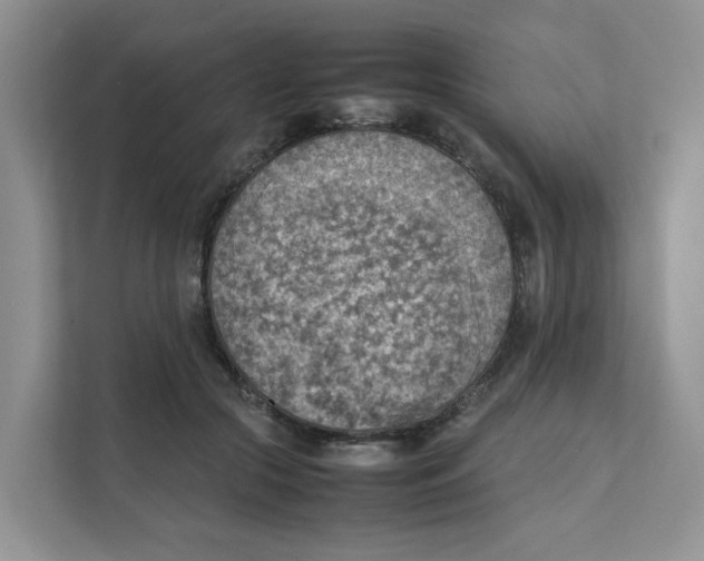 X0000111350553200907310954