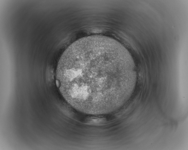 X0000111350555200907310954