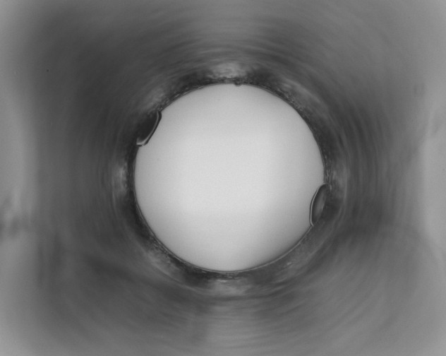 X0000111350556200907310954