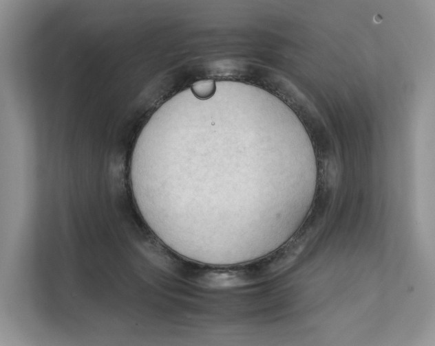 X0000111350557200907310954