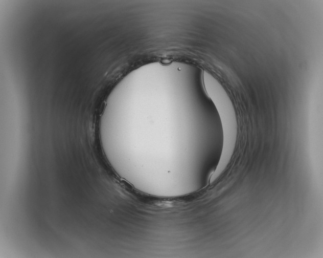 X0000111350558200907310954