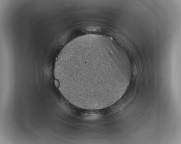 X0000111350559200907310954