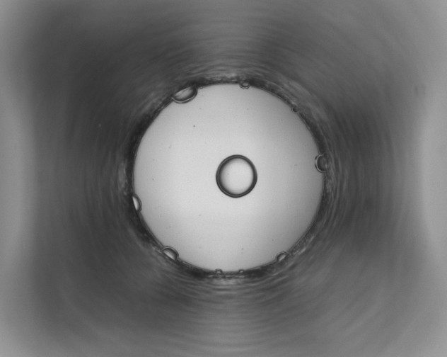 X0000111350560200907310954