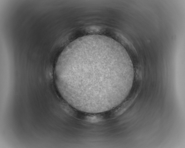 X0000111350561200907310954