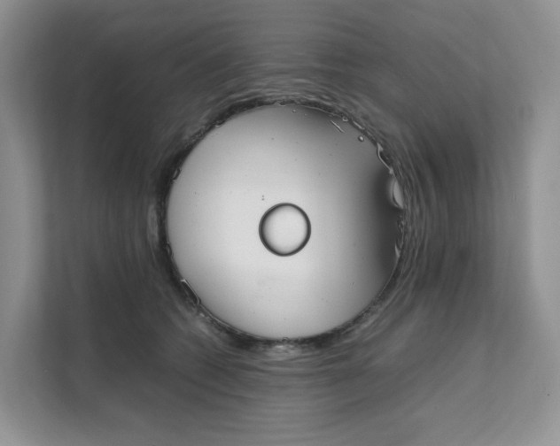 X0000111350562200907310954