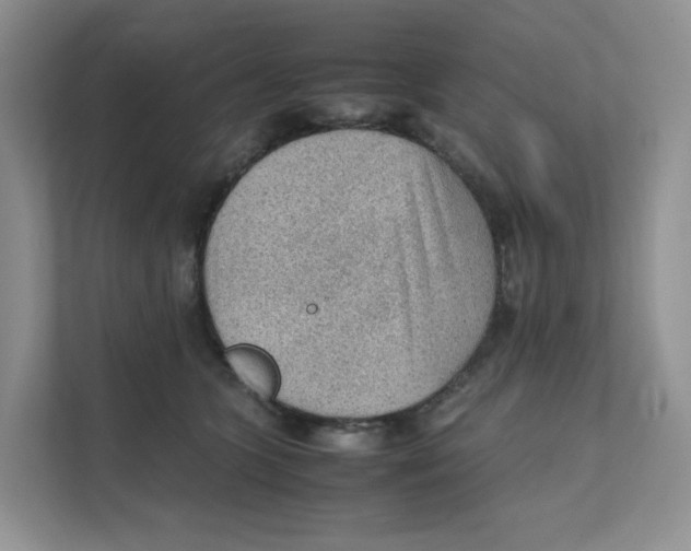 X0000111350563200907310954