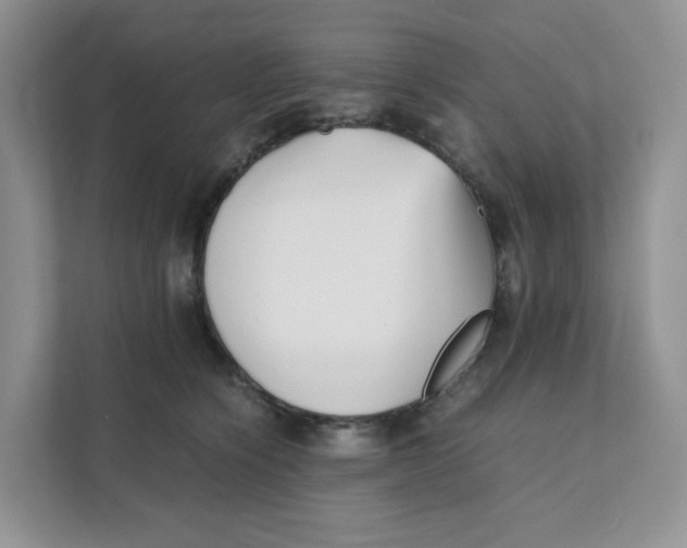 X0000111350564200907310954