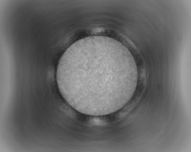 X0000111350565200907310954