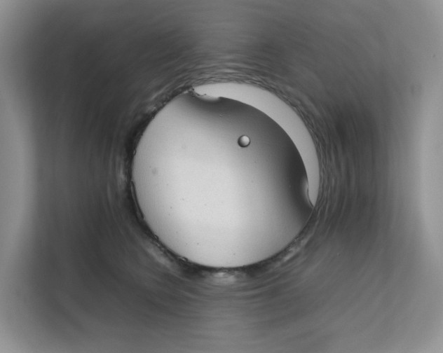 X0000111350566200907310954