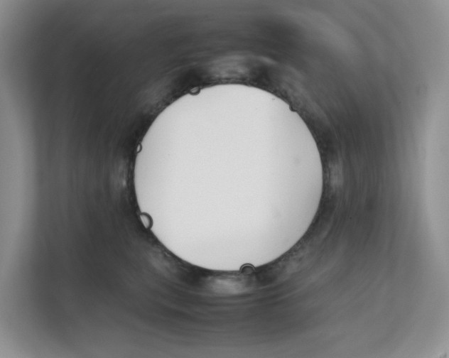 X0000111350567200907310954