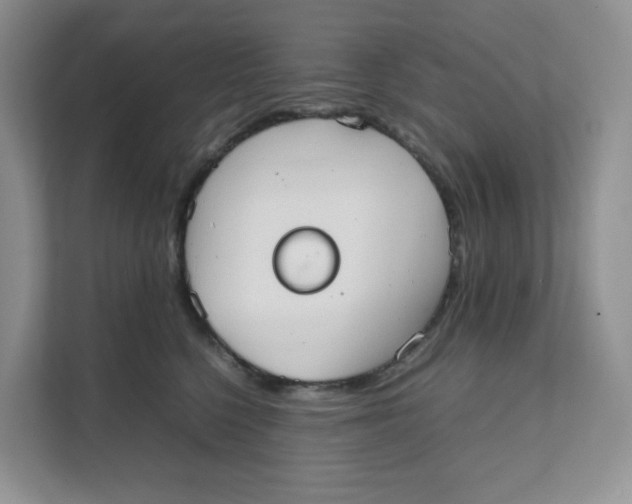 X0000111350568200907310954