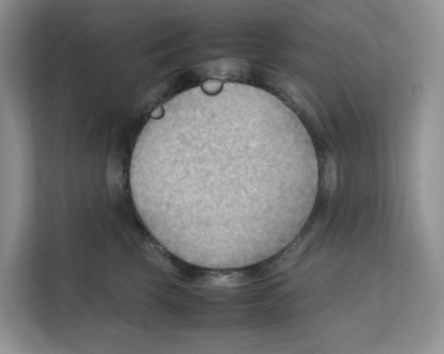 X0000111350569200907310954