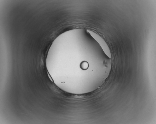 X0000111350570200907310954