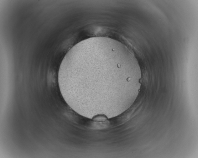 X0000111350571200907310954