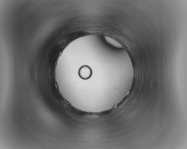 X0000111350572200907310954