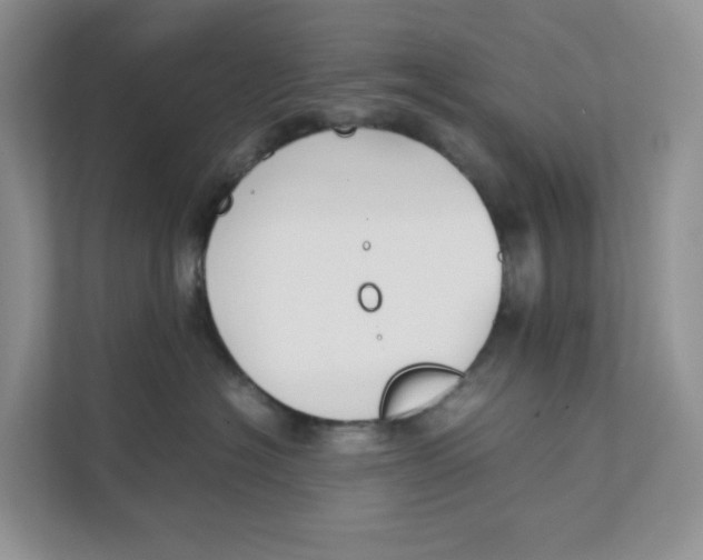 X0000111350574200907310954