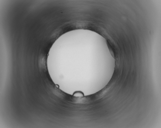 X0000111350575200907310954